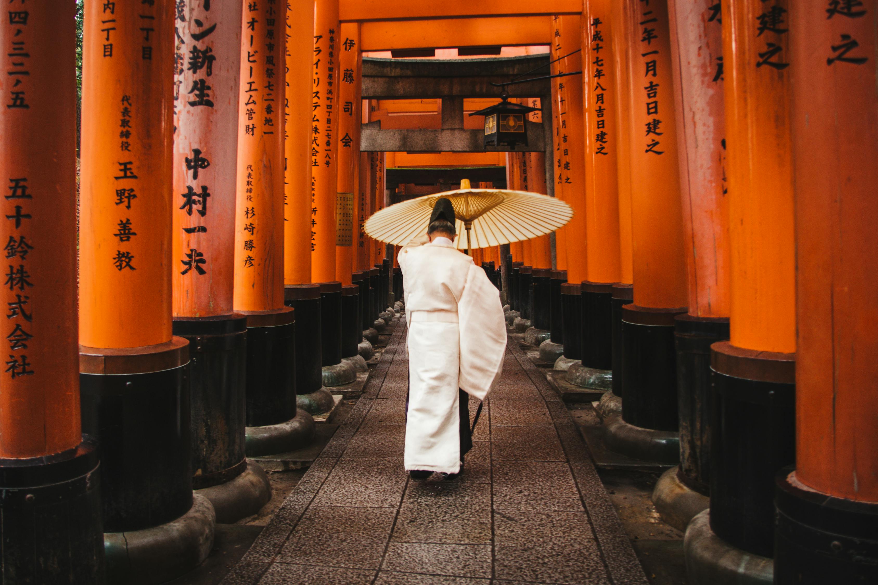 日本危秋洁最新动态，寻找失踪者的希望与困境分析