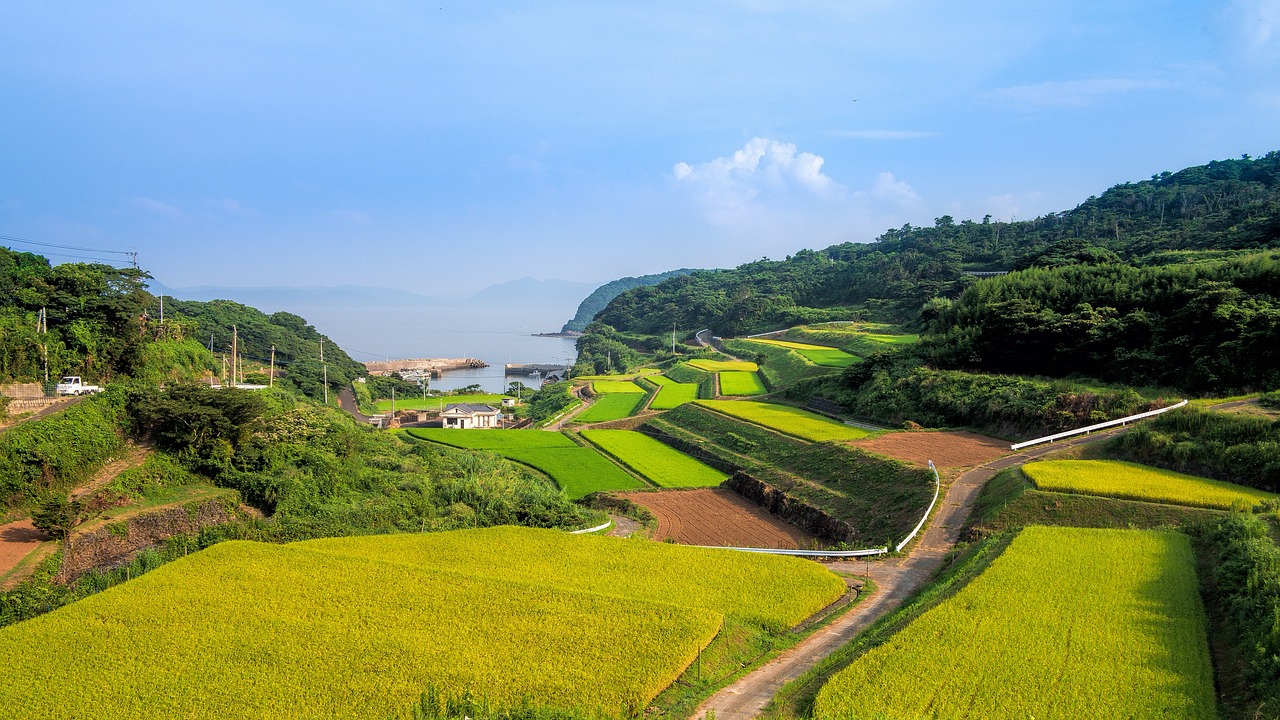 山东最新乡镇补贴政策，推动乡村振兴的有力措施，助力乡村发展提速！