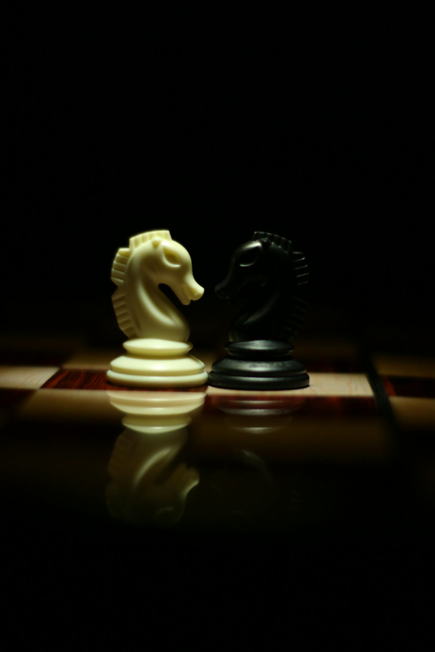 惠州象棋比赛，棋逢对手，展现智慧与策略对决的魅力