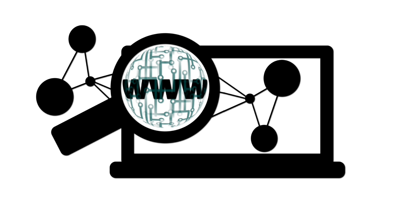 四虎网站最新资讯，科技前沿与社会动态的综合报道