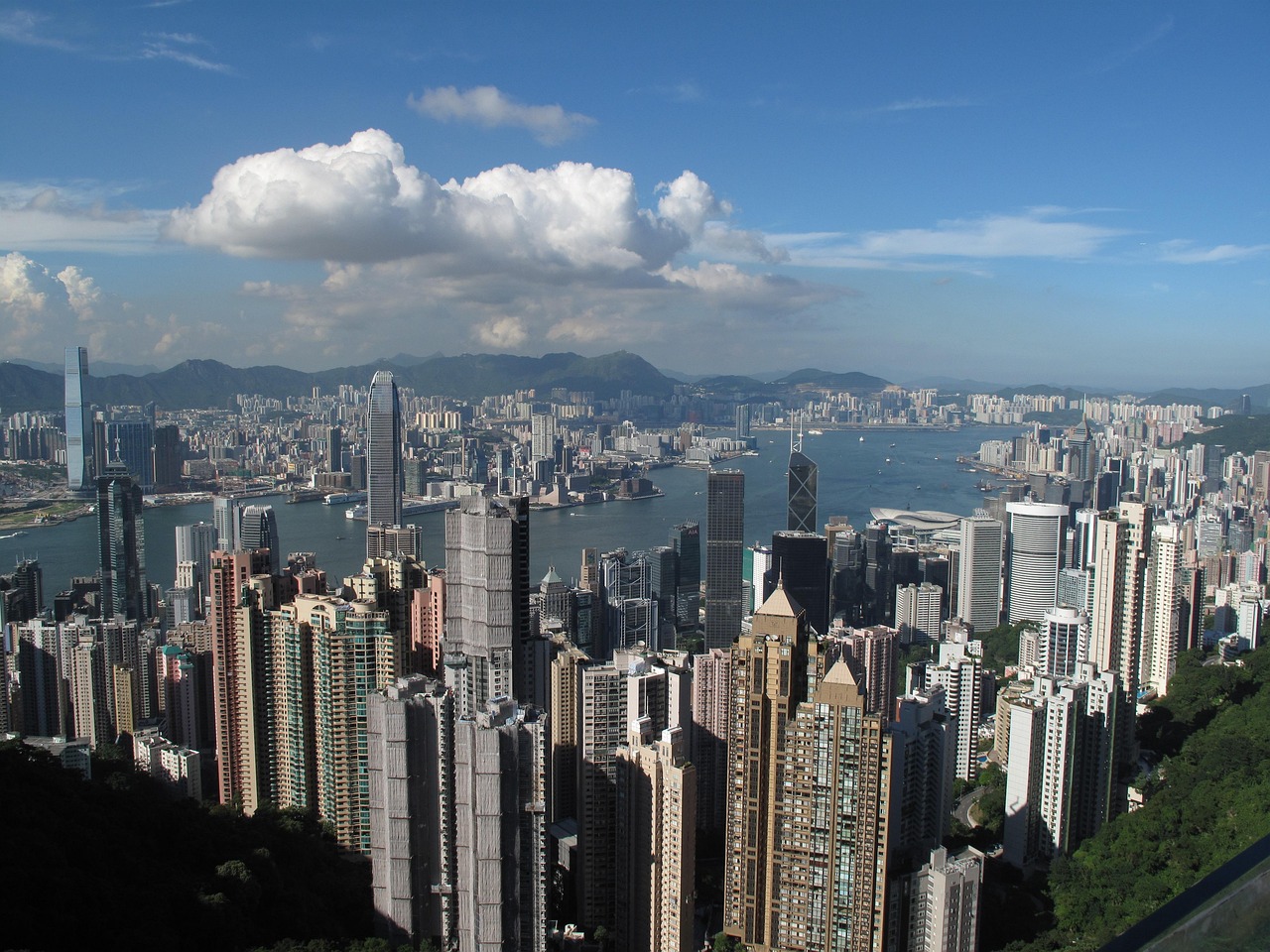 探寻香港电影的魅力与变迁，最新港片揭秘