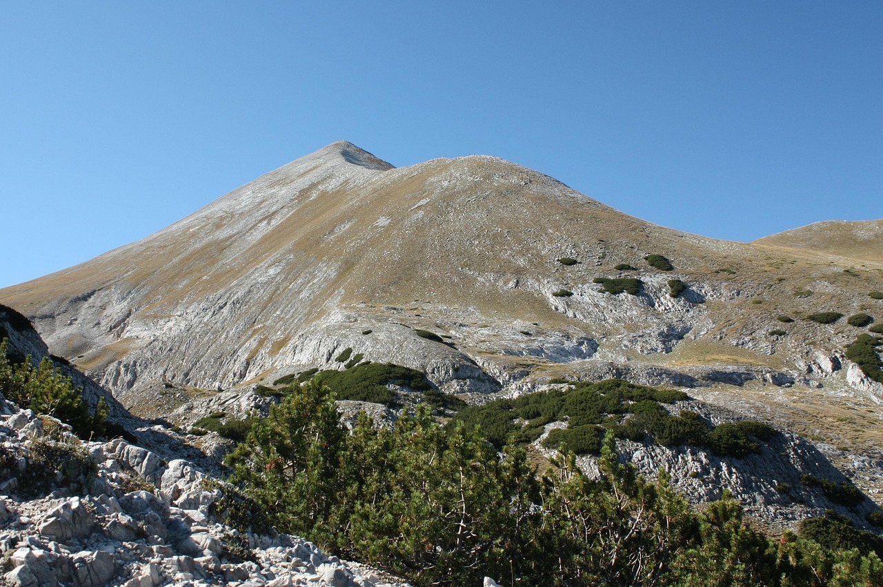 登山比赛主题，挑战高峰，展现毅力与荣耀的荣耀之战