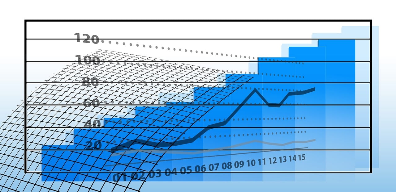 神州牧基金最新持股情况深度解析，揭示最新持股动态与策略调整