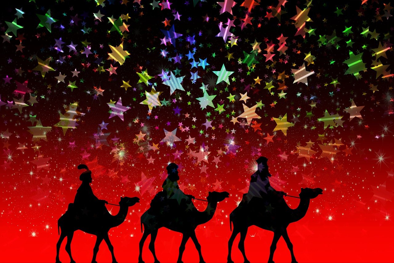 明星熊，闪耀舞台的萌宠之星之王