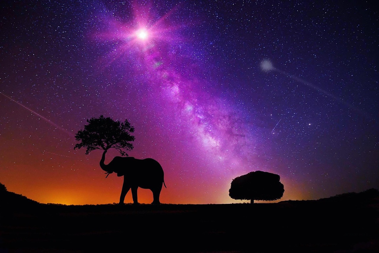 姓曹的明星，娱乐圈中的璀璨星辰