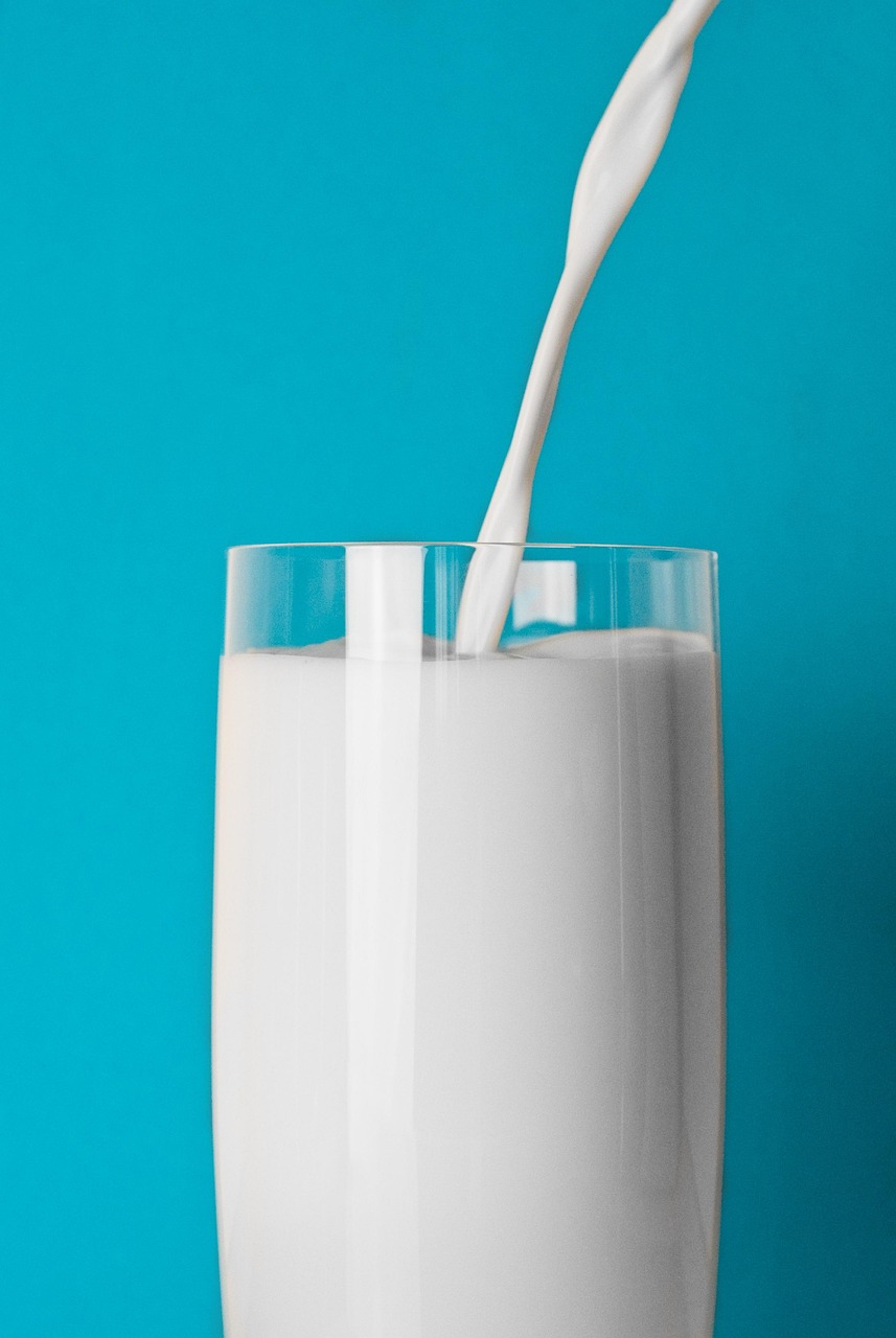 天润乳业股票行情深度解析与展望