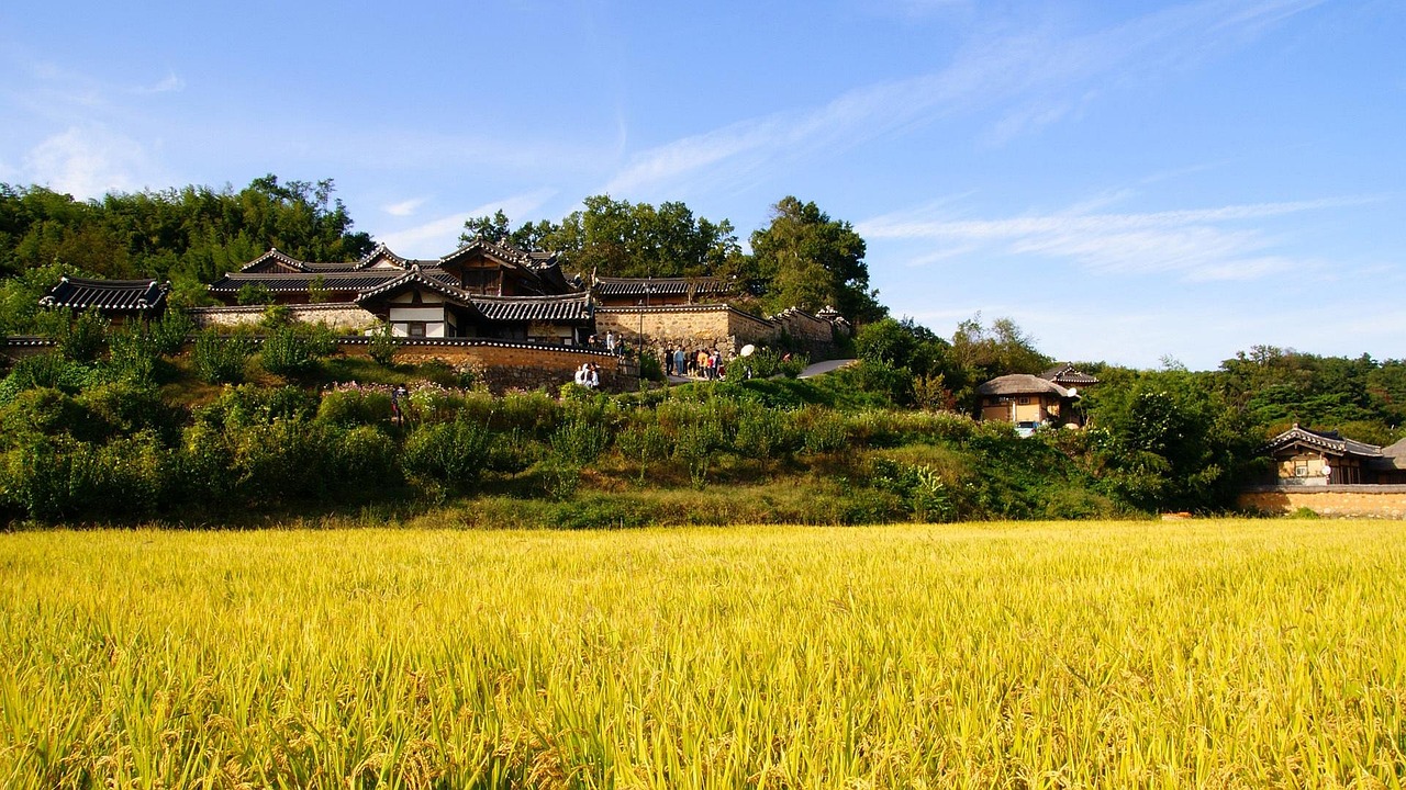 乡里彩虹城里雨，乡村与城市的交织之美