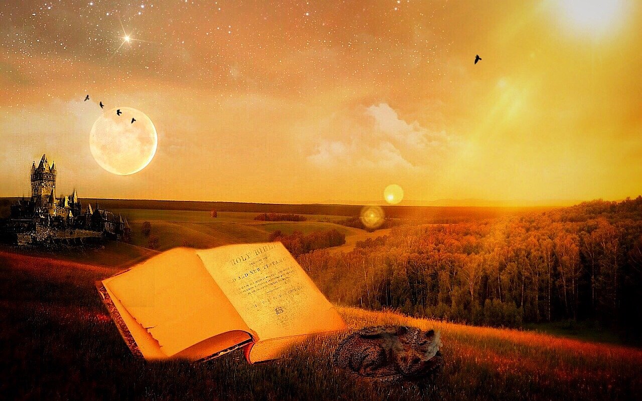 偶遇明星指南，探索与名人相遇的神秘奥秘