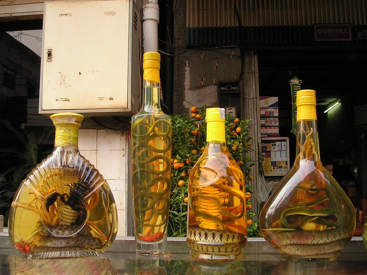 怀酒价格表揭秘，市场影响力与最新价格解析