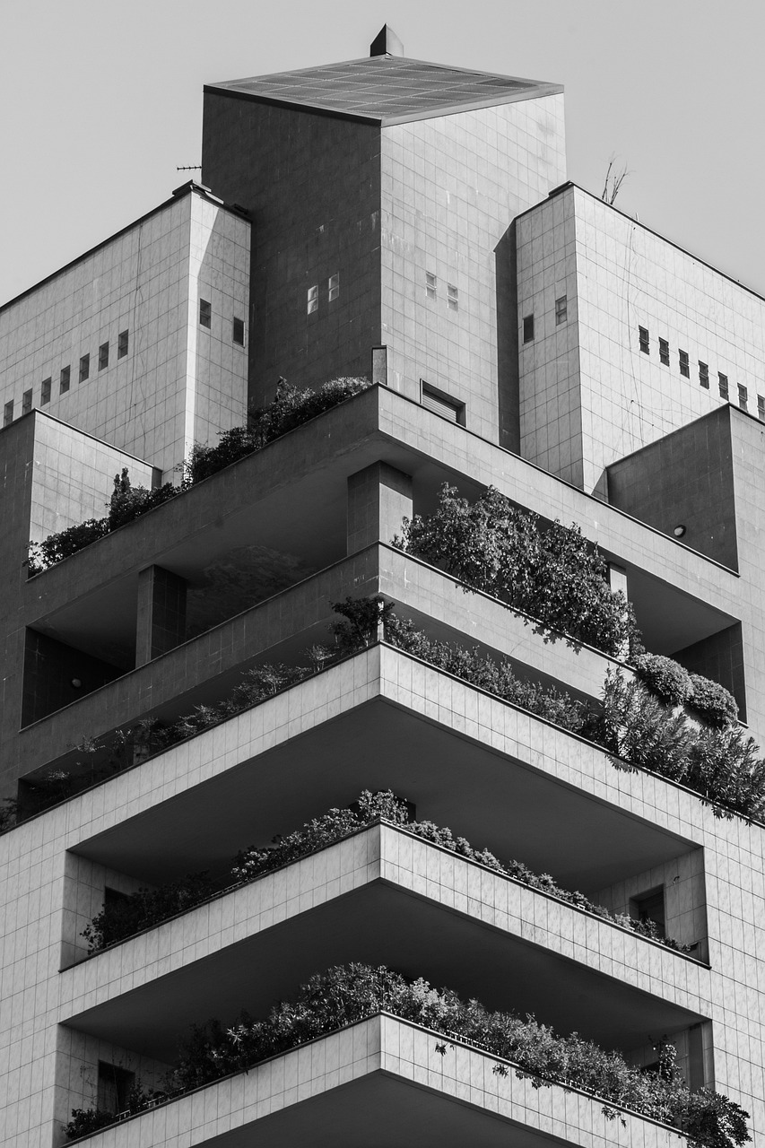 沈辽路高架桥建设进展、最新动态与未来展望