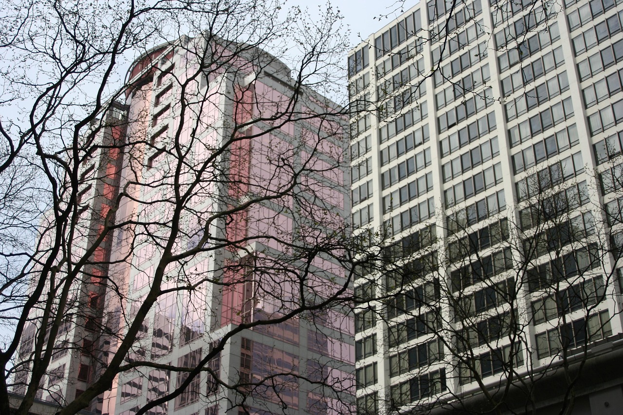 新型吸水砖，重塑城市面貌的核心材料
