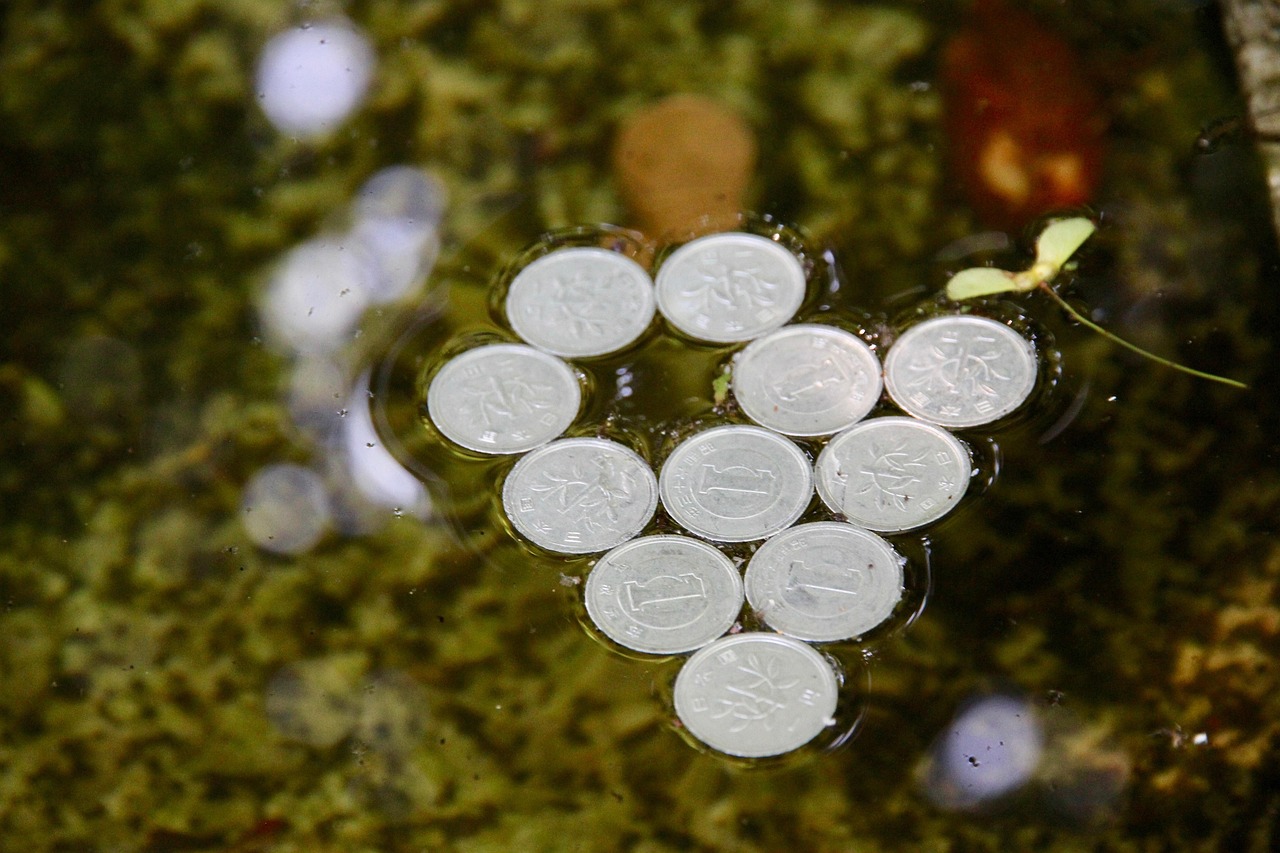 亚洲最新动态，多维度视角下的经济、科技与社会发展观察
