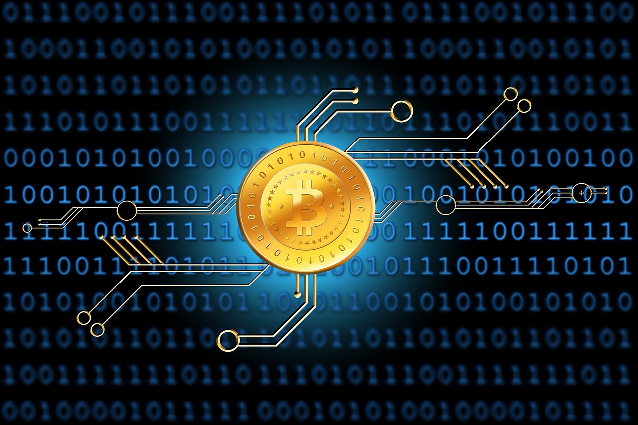 疫情最新数据教程，实时掌握信息，科学应对疫情挑战