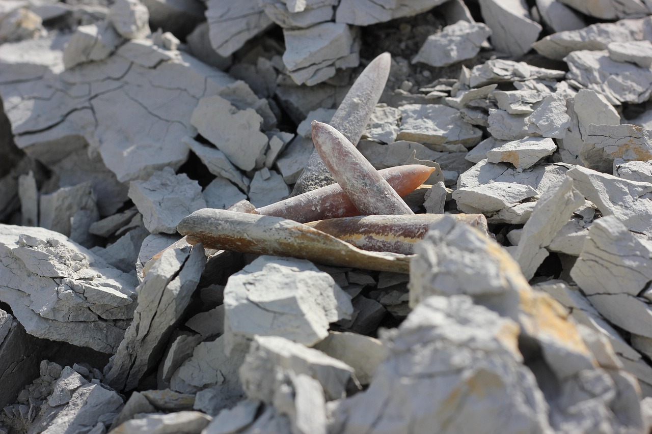 五菱S3最新动态,引领新时代,展现全新风采